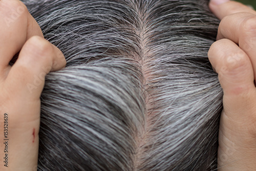 Foto Grey Hair