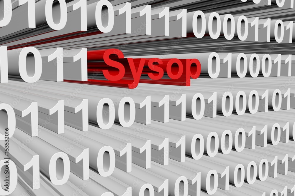 Sysop in the form of binary code, 3D illustration