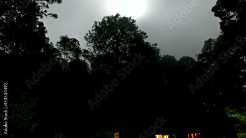 Cloudy sky in the woods - time lapse