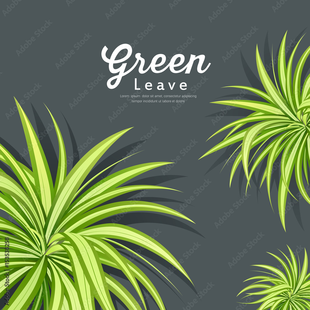 Vector pandanus tree green leaves background design, illustration
