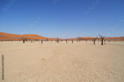 Sossusvlei Salt Pan Desert Landscape with Dead Trees and People  Namibia