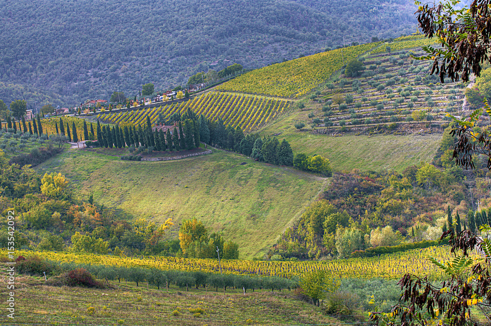 Farmland in Rada, Italy seen from hills above