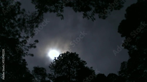 Full Moon In The Woods Time Lapse