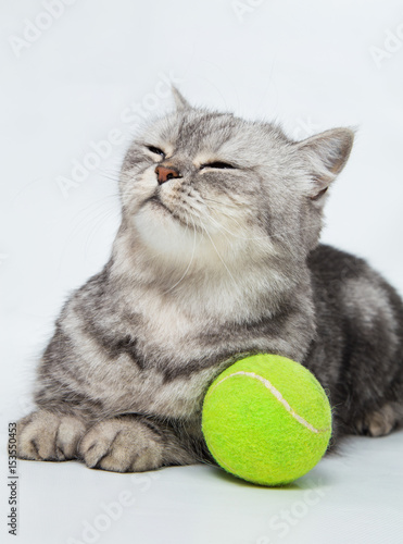 gray striped cat with bright green ball © Line