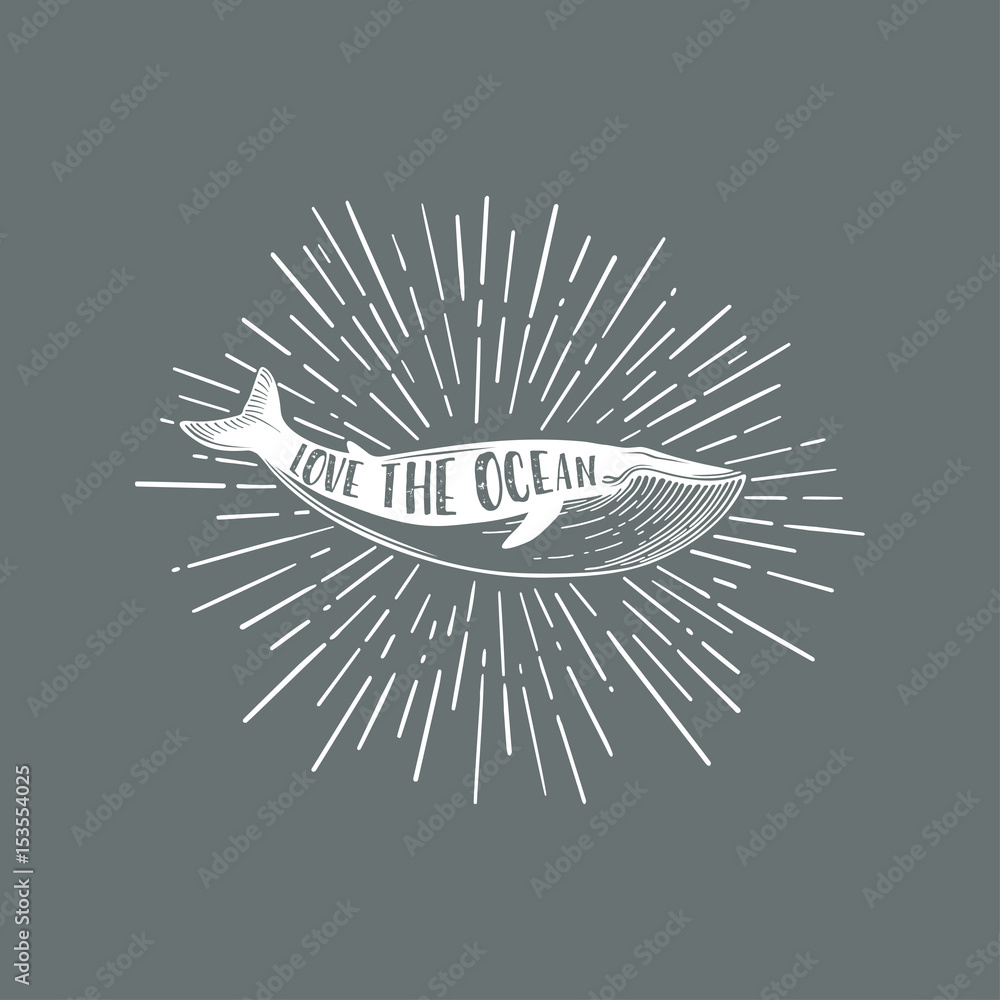 Naklejka premium Love the ocean.Hand drawn nautical vintage illustration with a whale.Vector.
