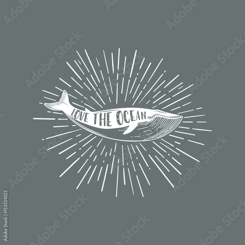Love the ocean.Hand drawn nautical vintage illustration with a whale.Vector.