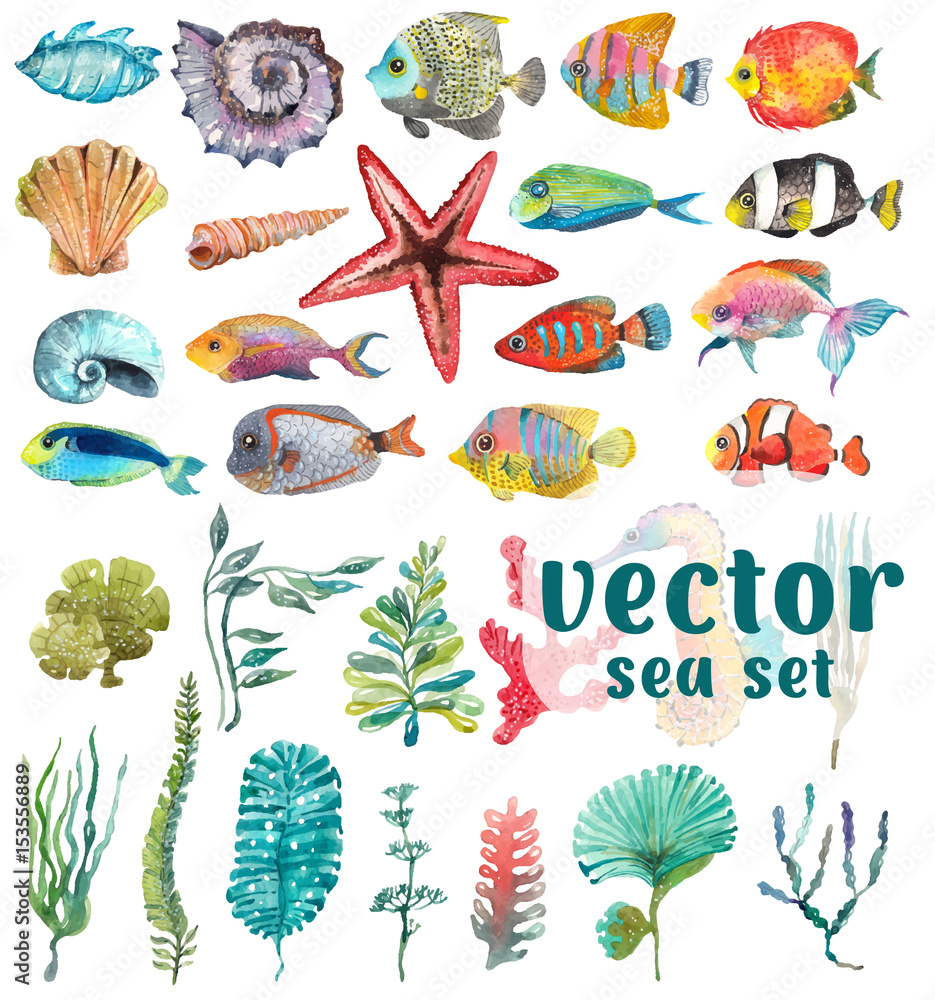 Naklejka premium Watercolor Sea Life, Seaweed, Shell, fish, sea horse, beautiful collection for design