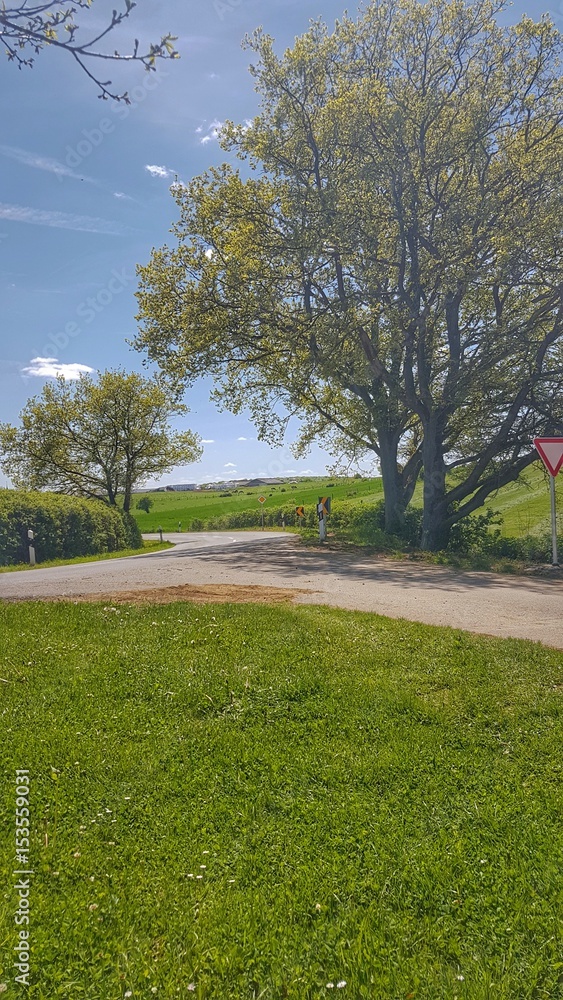 Kreuzung in der Landschaft