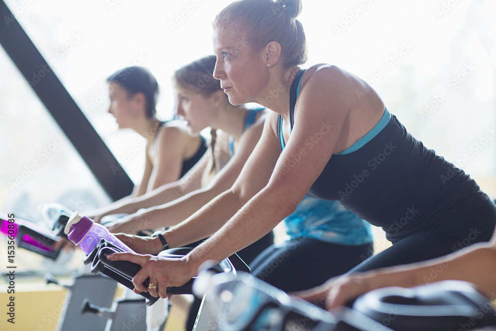 Women cycling on exercise bikes at health club Women cycling on exercise bikes at health club