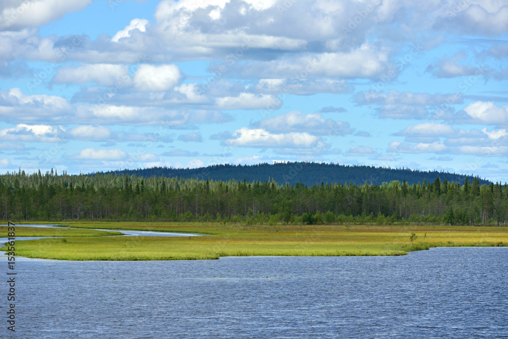 Northern landscape. River and marshy banks. Finnish Lapland