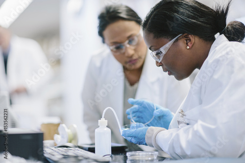Female doctors examining petri dish in laboratory photo