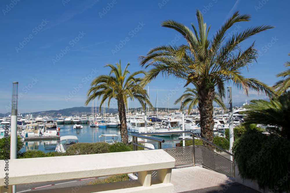 Port de Cannes 