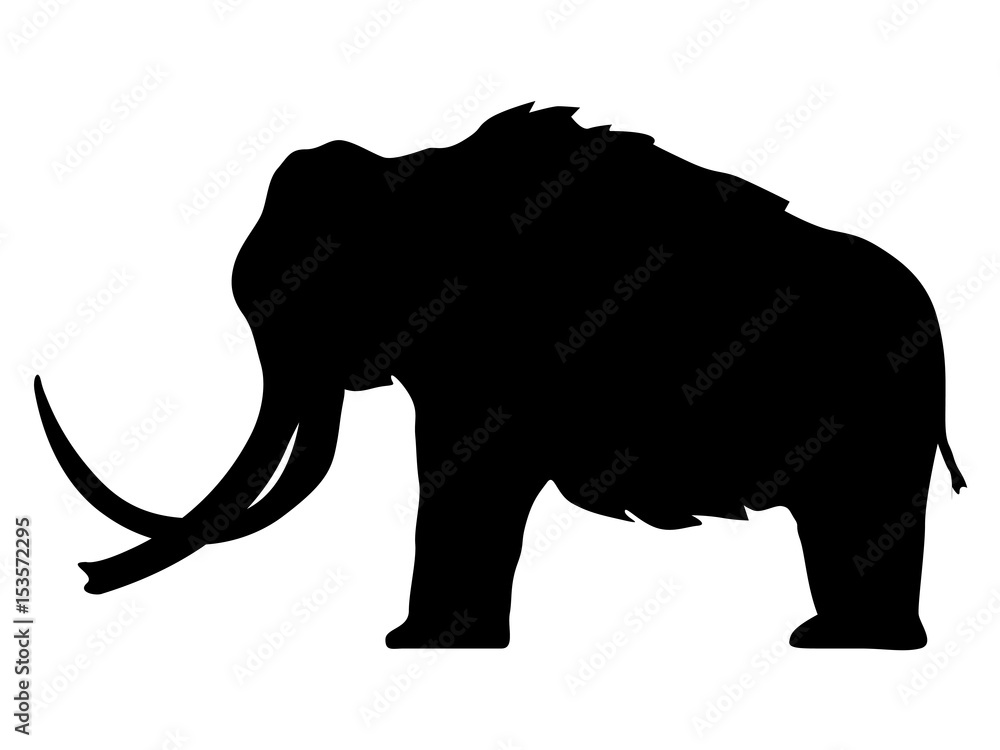 Obraz premium mammoth