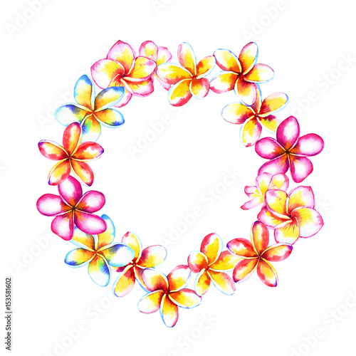 Plumeria flowers frame composition, circular wreath. Watercolor illustration isolated on white background. Template for your design.
