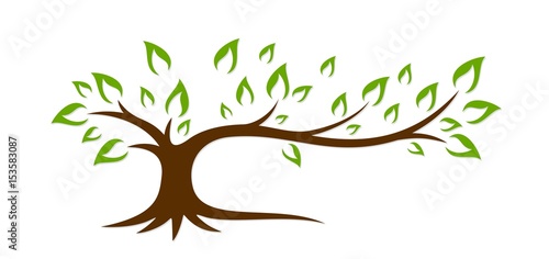 Tree.
