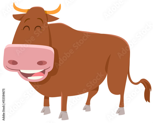 bull farm animal