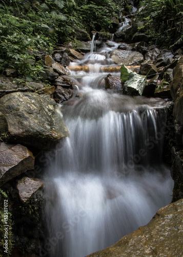 Waterfall with stones and green plants in mountain in forest