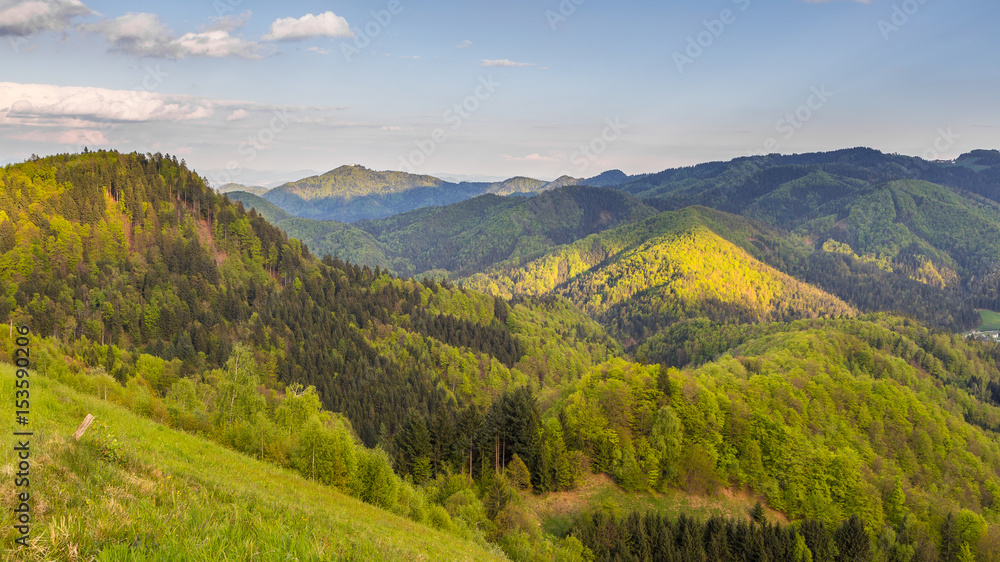 Fototapeta premium The Kamnik-Savinja Alps, Slovenia around the village Jamnik