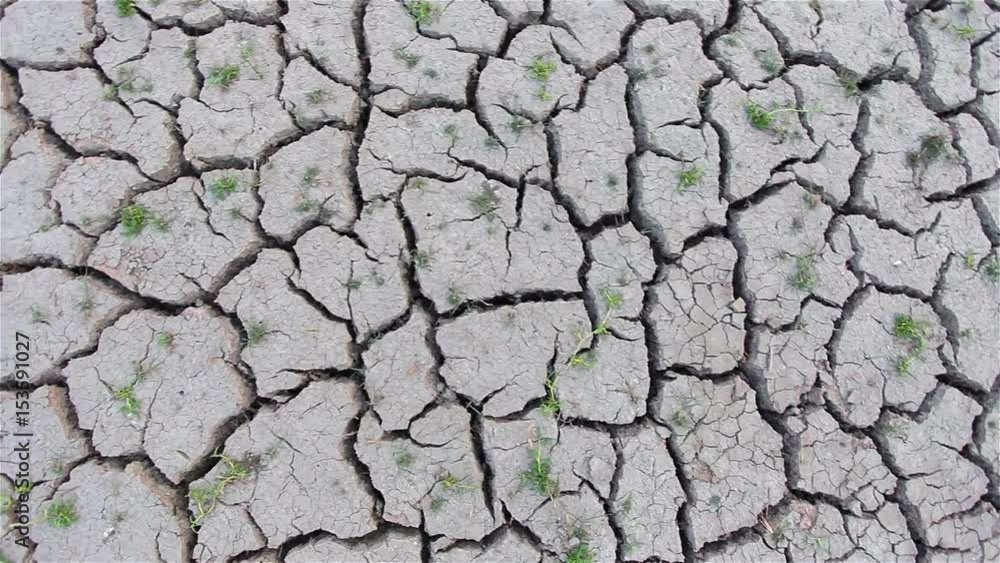 Twigs with Cracked dry earth. Dried and cracked land. Global warming concept in the summer Thailand . Crane shot. Twigs with Cracked dry earth. Dried and cracked land. Global warming concept in the summer Thailand . Crane shot.