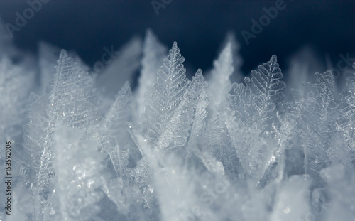 Cuadro en lienzo Macro shot of ice crystals