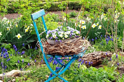 Fototapeta Naklejka Na Ścianę i Meble -  Blauer Gartenstuhl mit Pflanzen