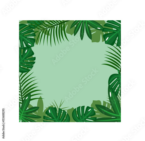 Beautiful Composition of Green Tropical Leaves  Exotic Jungle Plant Vector illustration