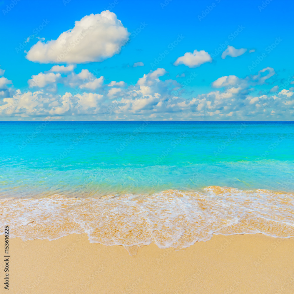 Fototapeta premium Bright sunny yellow sand beach travel background.
