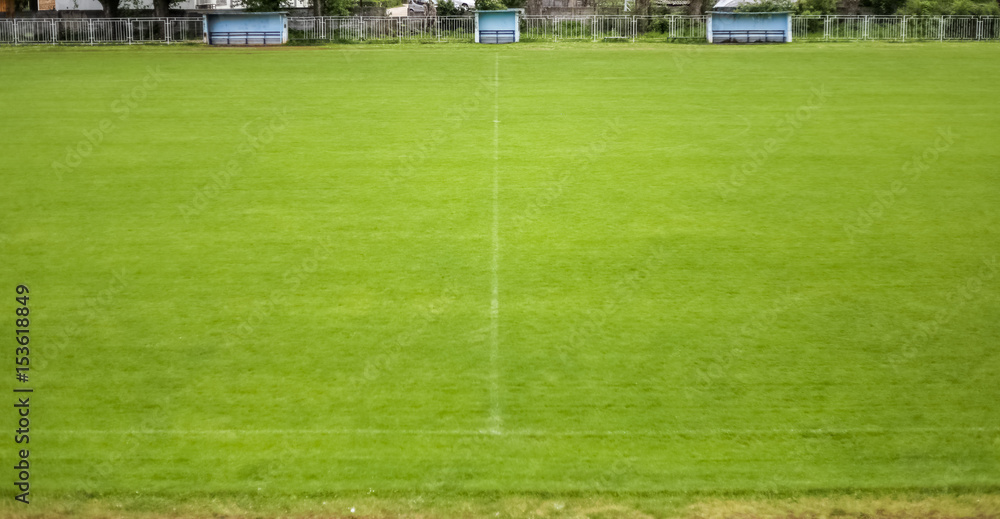 Fototapeta premium Green grass in the stadium, with benches for the teams and the delegation, grass, stadium, sunny day