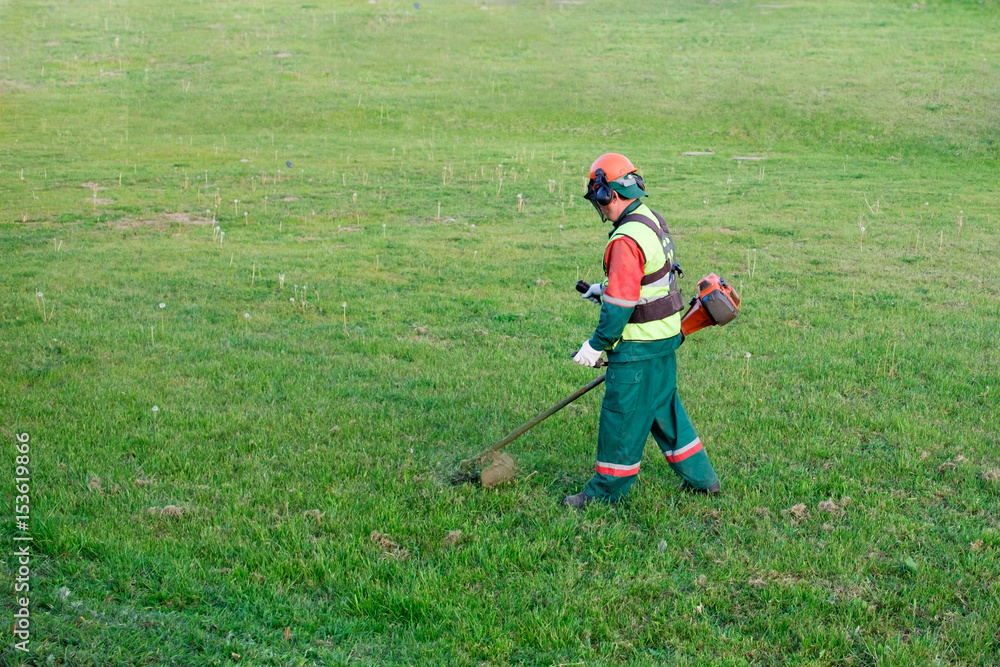 lawnmower cutting lawn