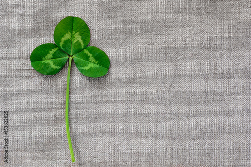 Green leaves of clover on the background of linen cloth.