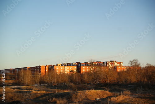 Photography Nature meets city