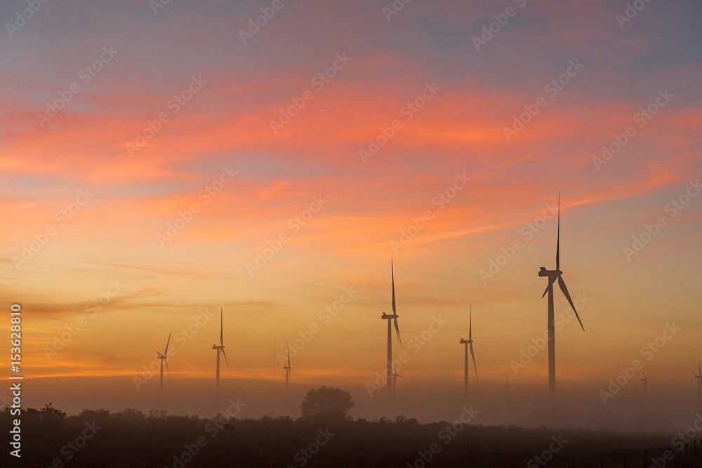 Silhouettes of wind turbines in fog at dawn near Hopefield