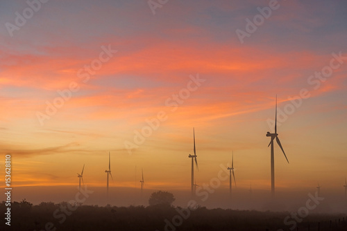 Silhouettes of wind turbines in fog at dawn near Hopefield