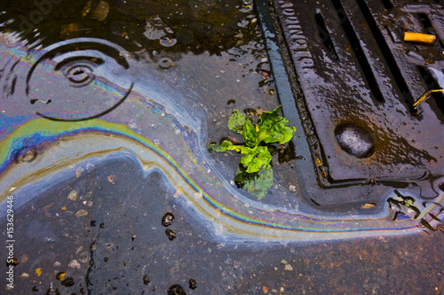 Petrol Oil Running Down a Gutter Drain photo