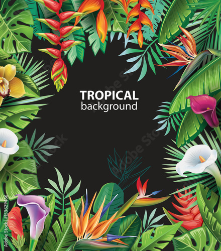 Background with tropical plants
