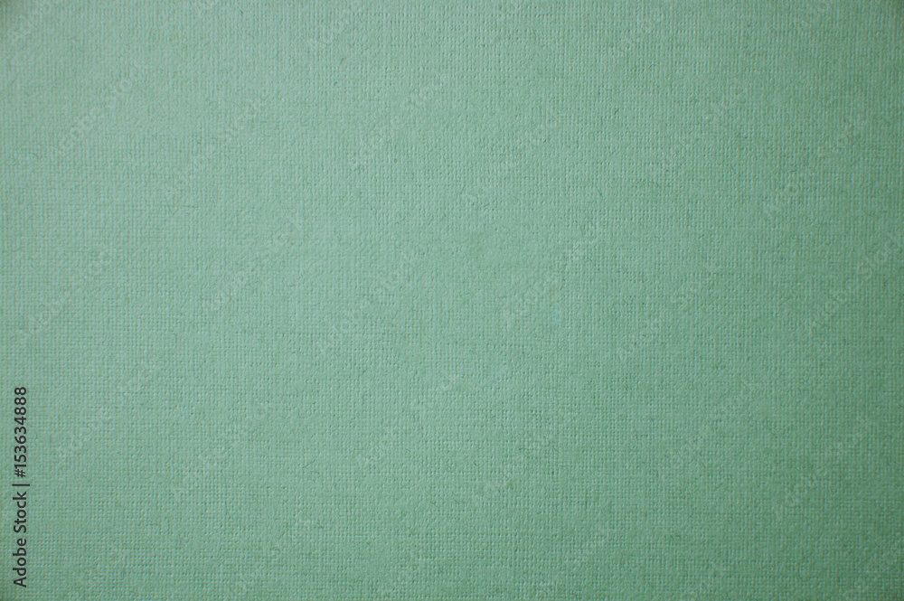 Fototapeta premium green paper texture