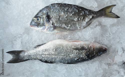Fresh fish on ice