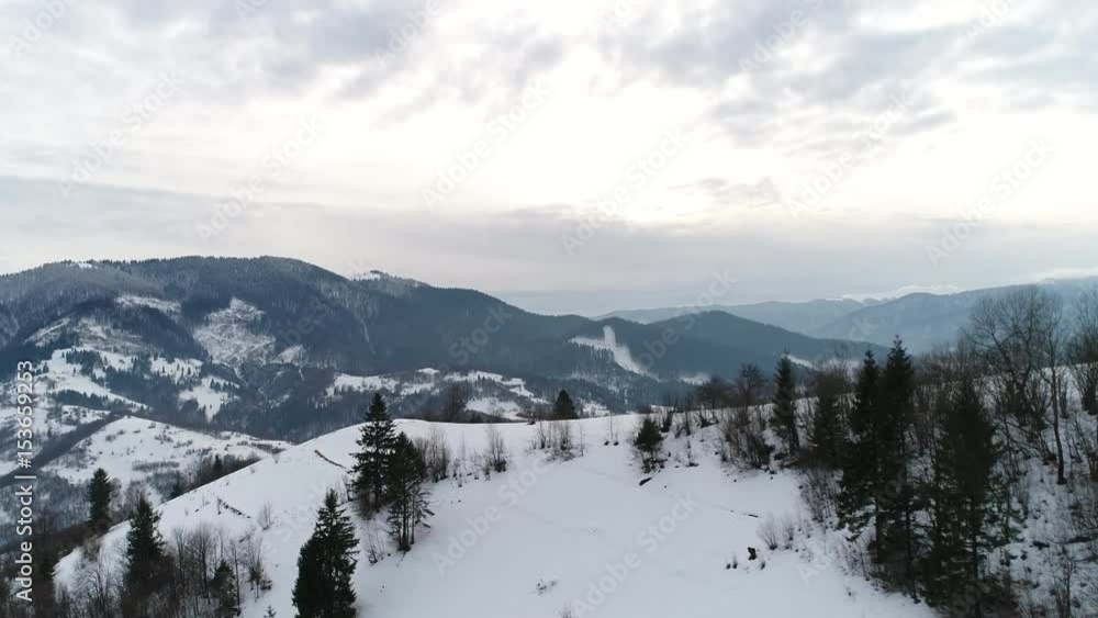 4K. Flight above Ukraine winter forest, aerial top view. 4K. Flight above Ukraine winter forest, aerial top view.
