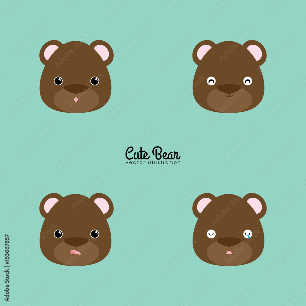 bear face expression bear face expression