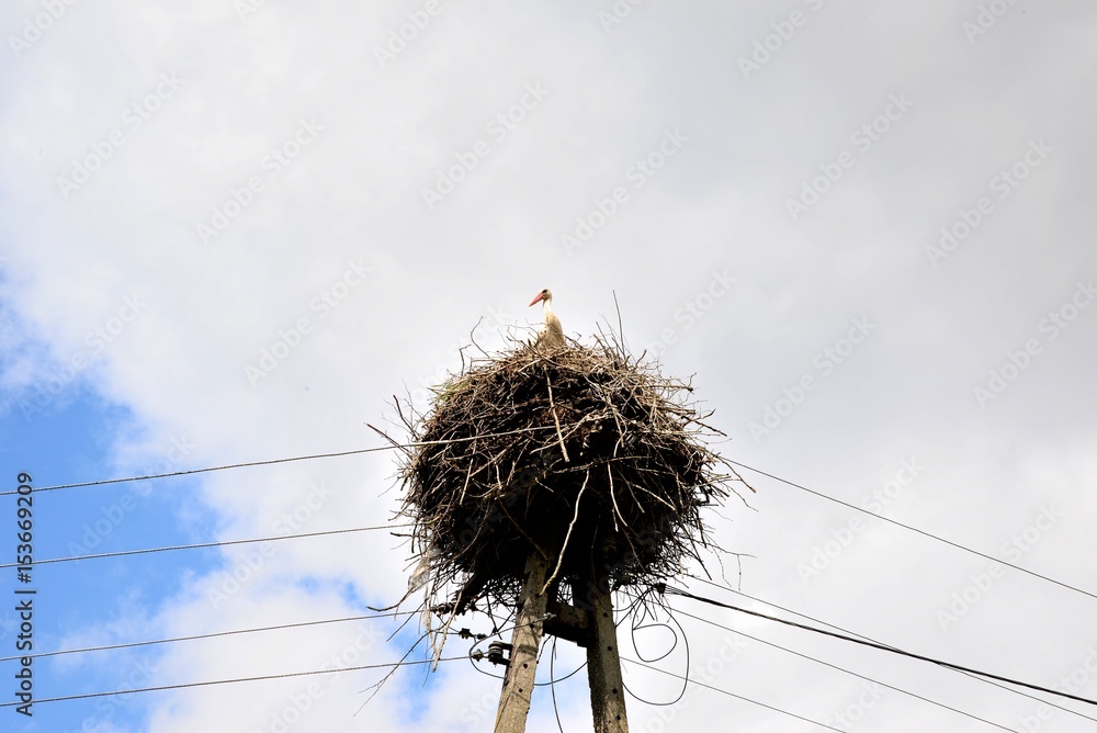 Stork nest on a pole against a background of clouds