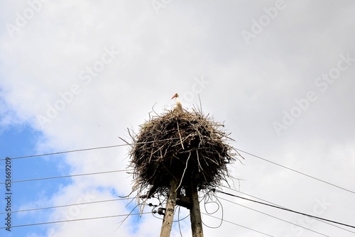 Stork nest on a pole against a background of clouds