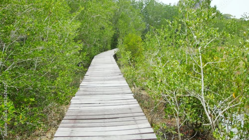 Wooden bridge walkway overlooking the mangrove area.