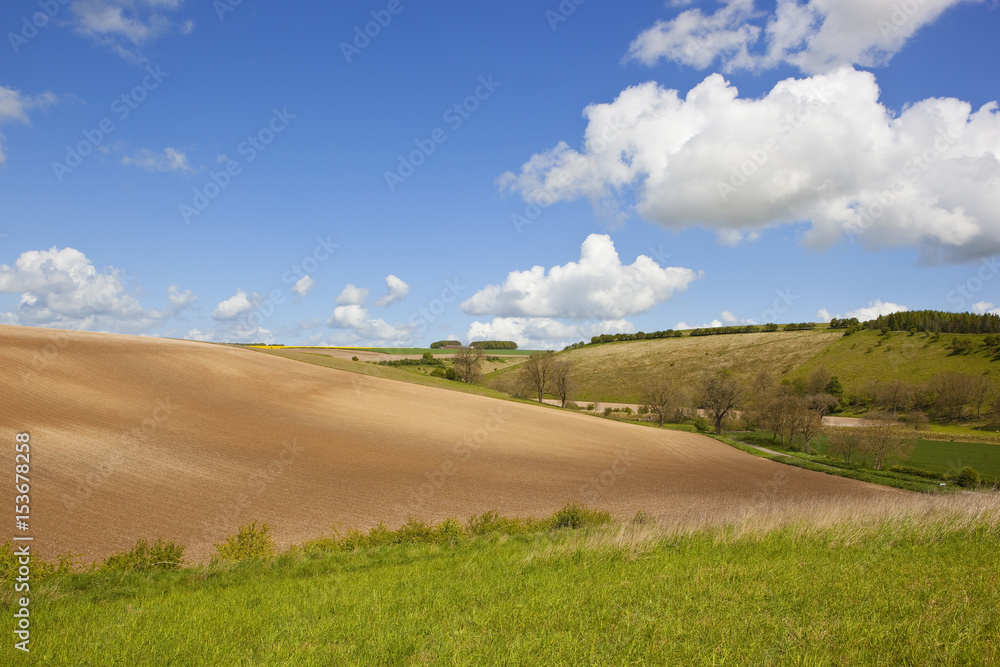 Obraz premium yorkshire wolds landscape