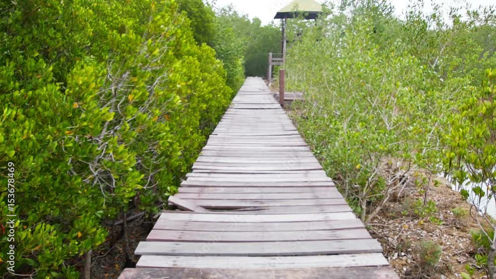 Wooden bridge walkway overlooking the mangrove area. Wooden bridge walkway overlooking the mangrove area.