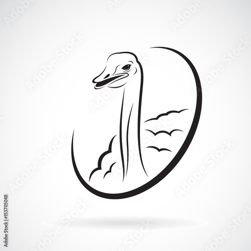Vector of ostrich design on white background. Logo. Wild Animals.