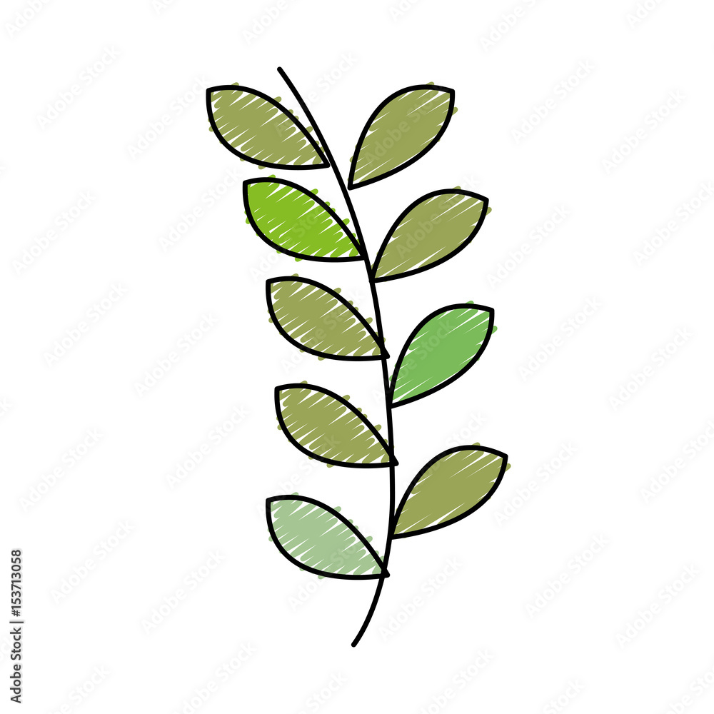 leafs plant decorative icon vector illustration design