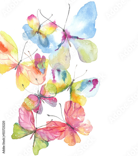 Canvas Print Beautiful watercolor butterfly background