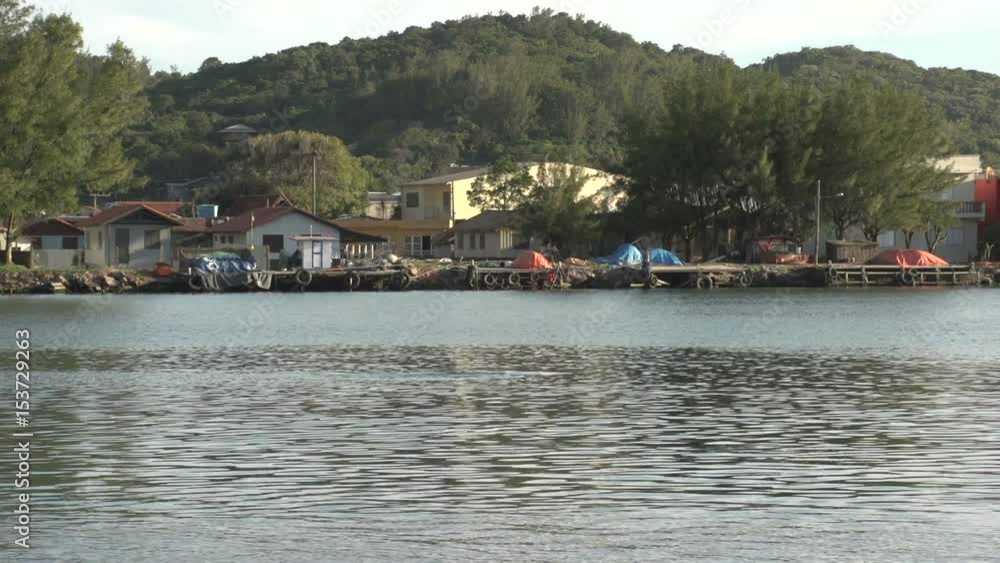 Dolphin comes out of water, Laguna, Santa Catarina Dolphin comes out of water, Laguna, Santa Catarina