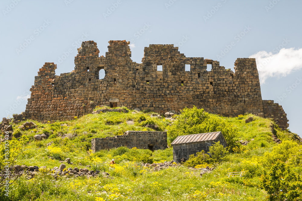 Ruins of the medieval Amberd castle, Armenia