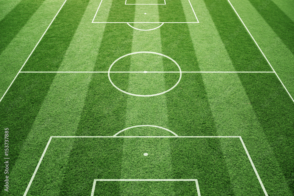 Soccer play field ground lines on sunny grass pattern background. Goal side perspective used. - obrazy, fototapety, plakaty 